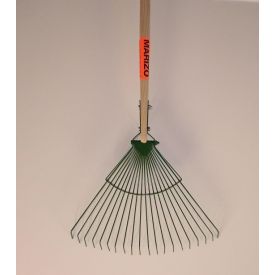 Bladhark Marizo Senior met steel